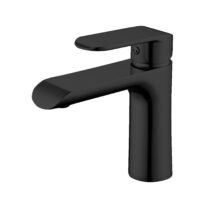 Aster Lavatory Faucet