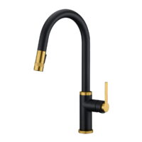 Golden Night Pull-out Kitchen Faucet