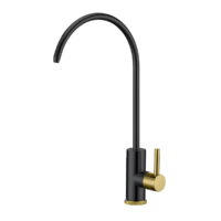 Golden Night Water Filter Faucet